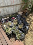 Garden Stuff Garden stuff 
Plus a office chair KT3 - removed for £99