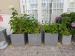 3 planters 40x40x40 cm 3 planters (40x40x40cm) with soil and plants. SW7 - removed for £182