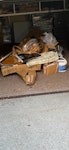 Some cardboard Tomorrow between 9-12 NW3 - removed for £104