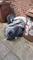 Old rug, 4 black bags collected by Hullk Removals