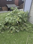 garden waste tree cuttings, rear access, TN16 - removed for £70