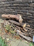 Remains of a felled tree There are about three tree trunks measuring about 1m to 1.2m and a pile of further tree cuttings and brunches all measuring about 0.75 cubic metres plus a black bag size of garden bush leaves. TW2 - removed for £83