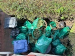 Garden waste Garden weeds, tree branches (small or in pieces) W5 - removed for £130