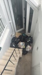 17 bags of rubbish and one big 17 bags of rubbish and one rug W11 - removed for £130