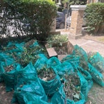 garden waste leaves, weeds and twigs SE4 - removed for £104