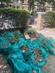 garden waste leaves, weeds and twigs SE4 - removed for £104