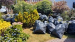 66 bags of expanding foam 66 bags of expanding foam, very light but have volume to them. B76 - removed for £225