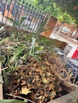 Garden waste not in the bin garden waste in big pile outside - volume of two bin approx NW2 - removed for £152