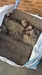 Dried Turf I bought more fresh  turf rolls than i needed and they have sitting in a bulk bag on my driveway for abt 3weeks. B31 - removed for £78