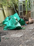 yard debris garden debris in general garden waste ￼ SW13 - removed for £117
