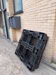 Plastic Pallet x2 normal pallet size SE10 - removed for £39