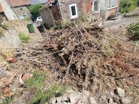 garden waste collected by AJD man and van