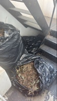 garden waste - 4 bags collected by All Star Waste Clearances