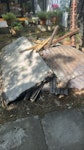 old shed roofing and timber not heavy N7 - removed for £165