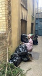 garden waste in bags 10-15 bags of garden waste (leaves, soil. branches, weeds) and a large branch N7 - removed for £104