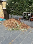 Garden waste Garden hedge trimmings N10 - removed for £240
