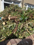 garden wate garden green waste , includes one tree and shrups CT17 - removed for £443