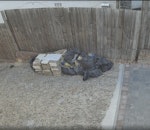 Building waste Builder's waste on driveway, easy access NW2 - removed for £83