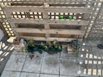 pallet/bricks/shed bits,cardbo aluminum shed parts, wooden pallet, 6 bricks, metal wire netting, fairy lights, 2 cardboard portfolios containing old art work (photos) SE17 - removed for £83