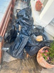 15 bags, small offcuts wood 15 bags of wood flooring offcuts, and small offcuts wood W6 - removed for £88
