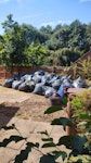 175 BAGS OF EXPANDING FOAM 175 BAGS OF EXPANDING FOAM, VERY LIGHT BUT HAVE VOLUME TO THEM. DE21 - removed for £456