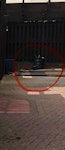 timbers from roof, one bag timbers from roof, one bag LS8 - removed for £176
