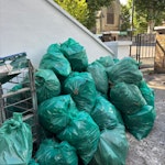 Garden waste, leaves & plants garden waste, branches, leaves and dead plants N19 - removed for £165