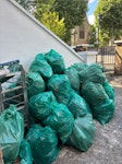 Garden waste, leaves & plants garden waste, branches, leaves and dead plants N19 - removed for £165