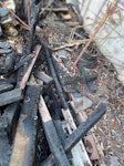 Burned shed and trre I am looking for a quotation for clearing and disposing of the contents of a fire-damaged shed and trre. 
The shed and everything inside were destroyed in the fire (last picture) 
Could you please provide me with a quotation for the clearance and disposal work?
Thank you, BL5 - removed for £343