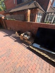 Solar install waste Pallets,boxes,solar panel and various waste from solar install TW1 - removed for £113