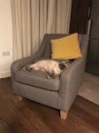 Double mattress small armchair Double mattress and a small armchair from first floor with a lift TW11 - removed for £99