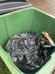 Green bin with wrong waste Green bin with wrong waste in it OL4 - removed for £29