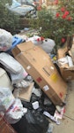 carpets household Rubish carpet Card boxes wood ￼ household NW10 - removed for £175