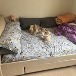 Beds, Sofa I have a double bed and a mattress, I have a sofa cum double bed and I have 4 seater L Shape Sofa to be collected SN2 - removed for £175