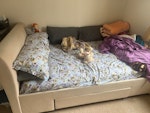 Beds, Sofa I have a double bed and a mattress, I have a sofa cum double bed and I have 4 seater L Shape Sofa to be collected SN2 - removed for £175