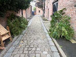 large tree branches large tree branches L8 - removed for £117