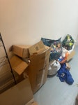 Cardboard, household items Cardboard, light bags and 2 small cabinet and hanger. SW7 - removed for £53