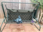 3 seater garden hammock Hammock approx 220cm wide, 104cm deep, 154cm high with top (shown at back) and cushions CM13 - removed for £65