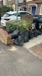 Laminate & 10 bags offcuts Laminate floor planks & 10 bags offcuts CR2 - removed for £117