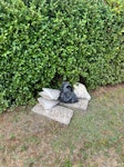 CONCRETE SLABS, 2 BAGS RUBBLE CONCRETE SLABS, 2 BAGS RUBBLE LN2 - removed for £113