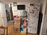 Fridge I have a new fridge delivery coming by 5pm.
I need you to dispose of old fridge (fridge/freezer standard size) but also to move new fridge (standard fridge/freezer, 2m tall) from drive into kitchen, keeping it upright... SG6 - removed for £156