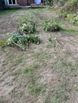 Garden green waste (branches) Hi, please can you let me know how much you charge to hire a 6yrd size skip or van collection for garden green waste disposal of bushes / tree branches and leaves.

(Please note - this is work in progress at the moment, expect the x6 piles in the photos to be around four times lager when finished cutting back the hedges)

Thanks B75 - removed for £257