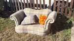 Small 2-seater sofa Small 2-seater sofa in beige/grey tartan check fabric, for waste disposal - it has staining (a charity reuse collection refused it for staining), so disposal not resale. Legs already detached and in the orange bag on the seat - bag included, sofa already disassembled for easy carry. Large scatter cushion in photos included. Outside at the front boundary, visible and accessible - nobody needs to be home. Anytime, sooner the better. IG10 - removed for £71