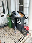 Bins rubbish Looks more than it is. W14 - removed for £94