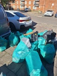 Plant, soil, plastic pots 6 bags of plant and soil waste
7 bags of plastic and cardboard waste SW9 - removed for £99
