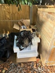 Solar waste all as per picture solar waste and carboard etc all as per photo TW9 - removed for £63