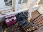handful of black bags and case handful of black bags and pink suitcase, small offcuts of mdf. very small and easy load W4 - removed for £47