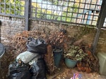 Rubbish and garden waste Some garden waste, some builders sand and a few bits of garden equipment like patio steamer E8 - removed for £130
