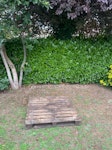 Wooden pallet SN7 - removed for £50