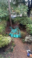 garden waste £100 collected by SS cleaning and clearance ltd